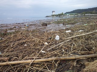NCM_0096.JPG